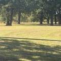 5047 N Fm 17 - Photo 16