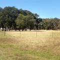 5047 N Fm 17 - Photo 32