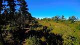 10222 Us Highway 271 - Photo 5