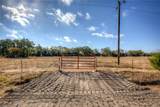 TBD Tract B County Road 1468 - Photo 2