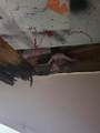 55 Birch Street - Photo 9