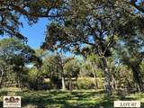 Lot 67 Camden Lane - Photo 15