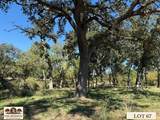 Lot 67 Camden Lane - Photo 19