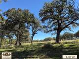 Lot 67 Camden Lane - Photo 22