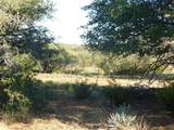 Tract 4 County Road 131 - Photo 10