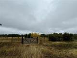 2753 Big Tree Road - Photo 10