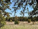 2753 Big Tree Road - Photo 11