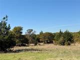 2753 Big Tree Road - Photo 12