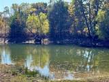 2753 Big Tree Road - Photo 13
