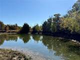2753 Big Tree Road - Photo 14