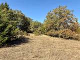 2753 Big Tree Road - Photo 15