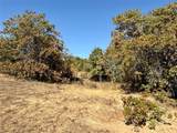 2753 Big Tree Road - Photo 16