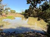 2753 Big Tree Road - Photo 17