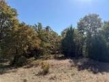 2753 Big Tree Road - Photo 19