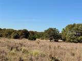 2753 Big Tree Road - Photo 20