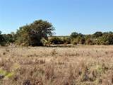 2753 Big Tree Road - Photo 21
