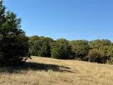 2753 Big Tree Road - Photo 23