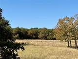 2753 Big Tree Road - Photo 25