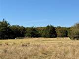 2753 Big Tree Road - Photo 26