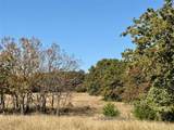 2753 Big Tree Road - Photo 27