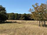 2753 Big Tree Road - Photo 30
