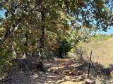 2753 Big Tree Road - Photo 32