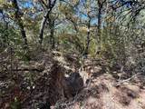 2753 Big Tree Road - Photo 33