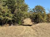 2753 Big Tree Road - Photo 34