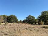 2753 Big Tree Road - Photo 6