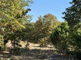 2753 Big Tree Road - Photo 8