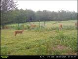 113 AC Fm 3218 - Photo 5