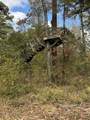 TBD Stag Road - Photo 10