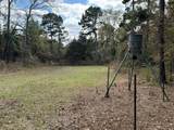 TBD Stag Road - Photo 11