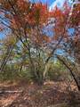 TBD Stag Road - Photo 28