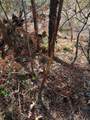 TBD Stag Road - Photo 29