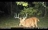 TBD Stag Road - Photo 3