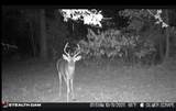 TBD Stag Road - Photo 5
