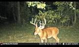 TBD Stag Road - Photo 6