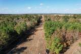 TBD Fm 1650 - Photo 10