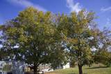 6172 Fm 1769 - Photo 33