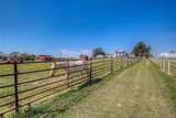 7359 Texas Highway 154 - Photo 7