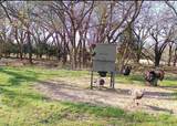 2011 County Road 1590 - Photo 36