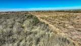 2950 County Road 607 - Photo 21