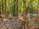 Lot 17 Sweet Gum Lane - Photo 3