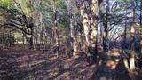 TBD County Road 4736 - Photo 4
