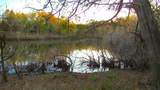 TBD County Road 4736 - Photo 6