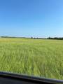 300 County Road 467 Tract 1 - Photo 10
