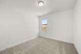 225 Whitetail Drive - Photo 24