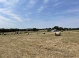 11321 Wild Rose Lane - Photo 7