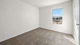 4117 Olivia Lane - Photo 16